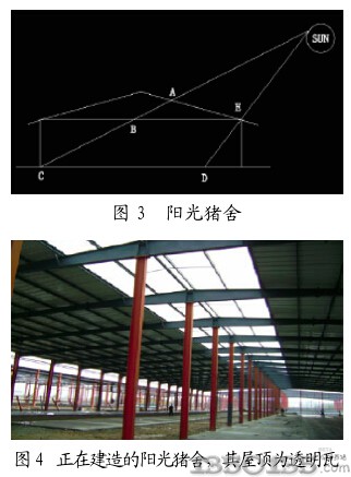 透明瓦用于豬場的好處