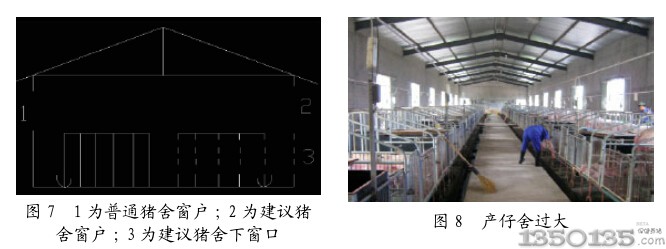 透明瓦用于豬場的好處